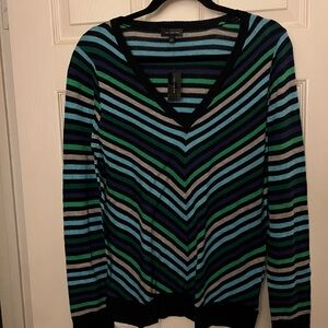 The Limited Multicolor Striped V-Neck Sweater, Ladies Size Large.